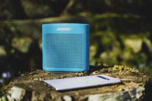 speaker in woods